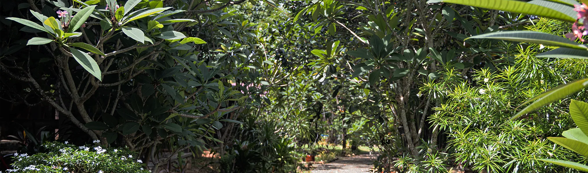 Experience Cambodia in a New Way. Visit Us – Khmer Hands, Kep