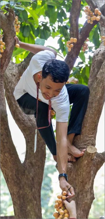 Life at Khmer Hands, Kep, photo 7